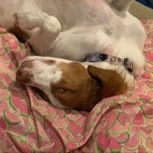 Meet your Posher, Heather